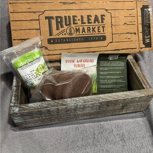 Barnwood‎ Wheatgrass kit with rustic planter box